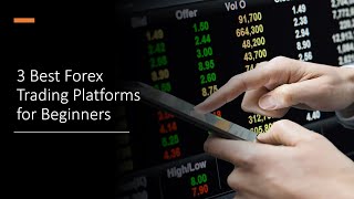 3 Best Forex Trading Platforms for Beginners