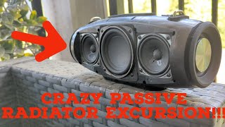 Zealot S67 BASS TEST!! grill off with crazy passive radiator excursion!