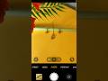 Jewellery set photography ideas with Mobile #youtubeshorts #shorts