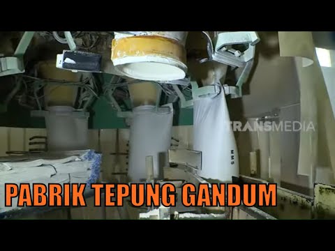 Gandum Diolah Menjadi Apa