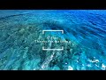 『心がほどける瞬間 — Mindfulness Journey』 (Meditation, Sleep, Mindfulness, Relax)