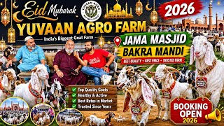 India ka biggest no1 yuvaan agro  farm. Purani delhi. Jama masjid. 2026. Only sojat bakra hi bakra 
