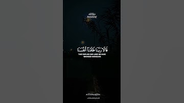 #قرآن #shortvideo #تلاوة_خاشعة #quran #اكسبلور #story #ستوريات_قرآن #ramadan #تراويح_رمضان #fyp