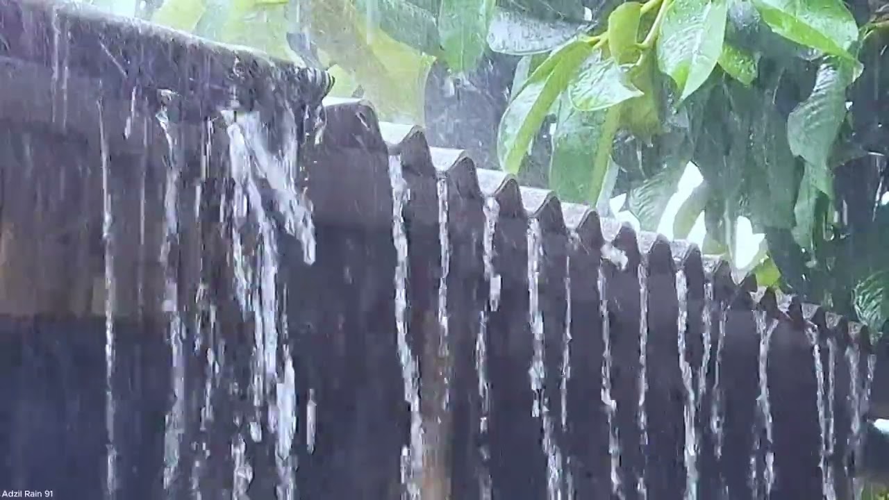 Этот звук дождя очень эффективен для лечения бессонницы и успокоения ума.