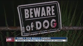 Dog Mauls Husband And Wife After They Tried To Dress Scarface In A Sweater