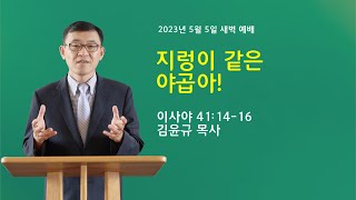 [#이사야강해] 지렁이 같은 야곱아! | 이사야 41:8-13 | #새벽예배 #쉴만한물가교회 #김윤규목사