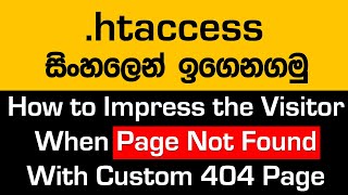 How To Display Custom 404 Page  - Learn .htaccess File in Sinhala