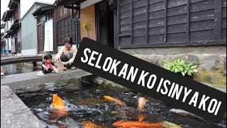 Selokan (Saluran Air) Jepang banyak Ikan Koi