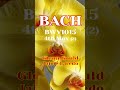 Glenn Gould BWV1015 4th Mov(2)