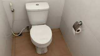 2015 Cotto C1481 Tara toilet (Part 2)