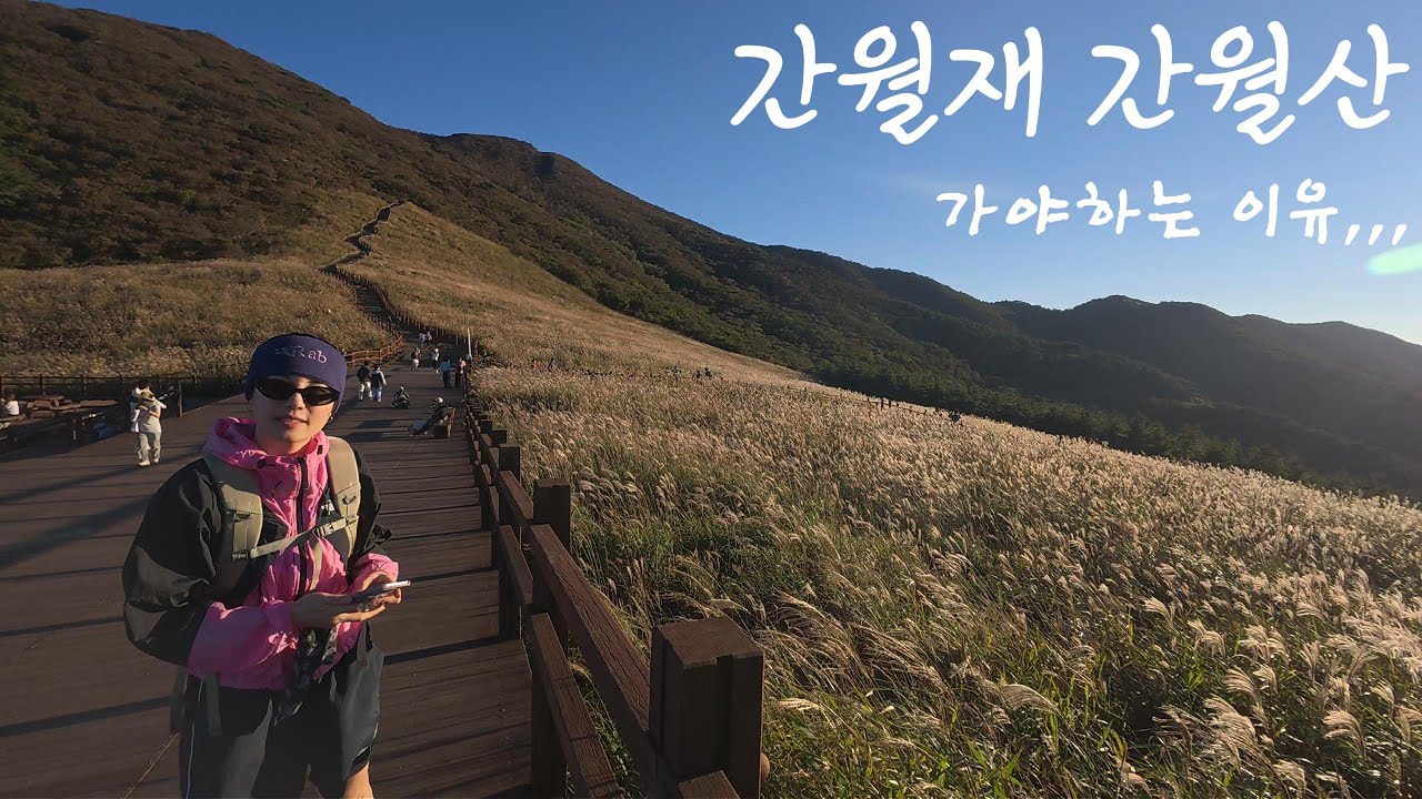 억새로 억수로 유명한 간월재 간월산 가야하는 이유,,,
