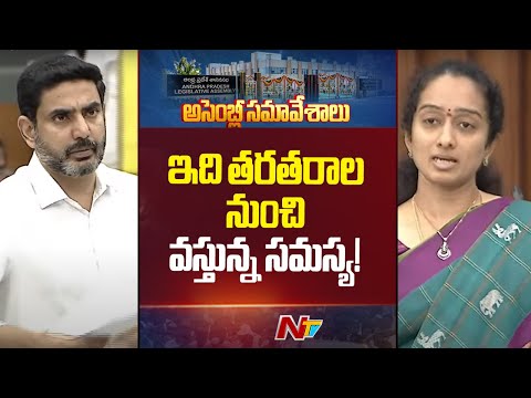 Question Hour Between Palle Sindhura Reddy And Nara Lokesh | AP Assembly | NTV Telugu - NTVTELUGU