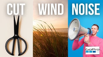 GOPRO HERO 11 : Wind reduction settings