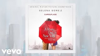A Rainy Day in New York Credits Ending 