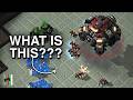 Will Cheese Fail Insane OpeningGenius Or Foolish Starcraft 