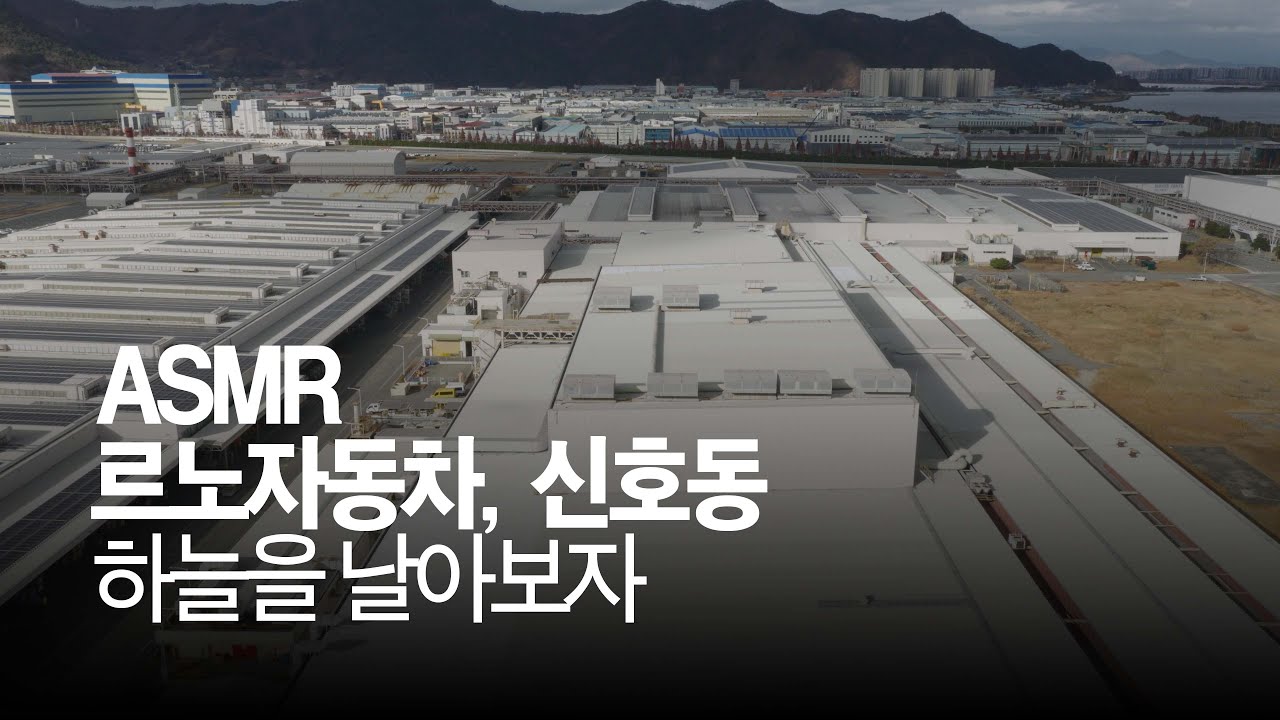 [ASMR] 르노자동차와 신호동을 날아보자