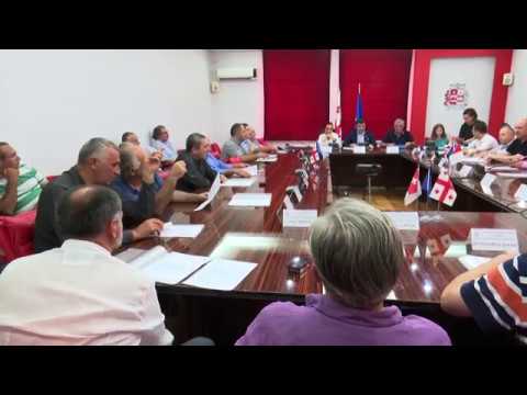 27.08.2018 რუსთავის საკრებულომ რიგგარეშე სხდომა გამართა