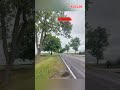 🌳🚗Przydrożne drzewa nie są problemem. Problemem jest to, że coraz częściej są problemem...#lubelskie