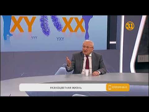 Видео: Когда появляется кассиопея?