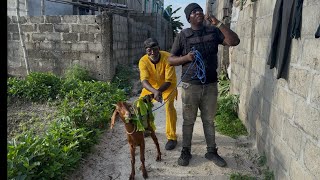 Stealing the goat @prophetmovementcomedytv 