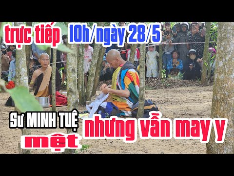 Thầy minh tuệ hôm nay mệt nhưng nghỉ Thầy cũng may y