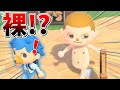 鬼ごっこでは〇かの変態が追いかけてくるどっきり???【#あつまれどうぶつの森】【#あつ森】【パグ】