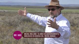 Vinos y Amigos Bloque 1 Programa 113