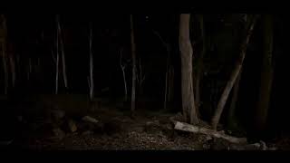 IMG_4342.mov