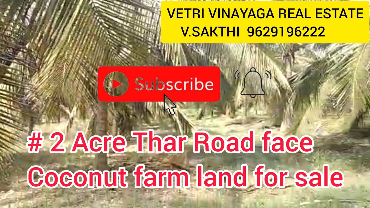 [32] 2 Acre Thar Road face Coconut farm land for sale Senjerimalai