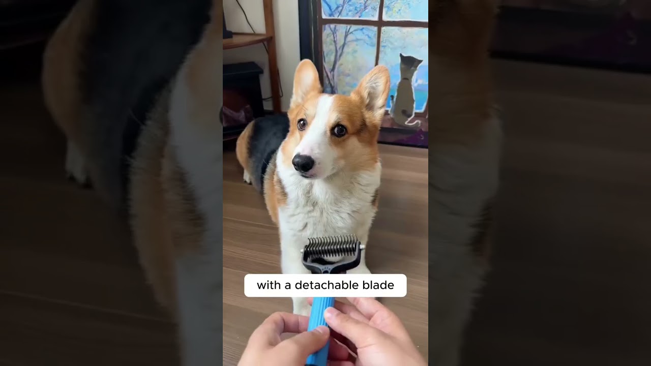 Get this Deshedding Comb Grooming Brush and keep your pet's coat tangle-free and healthy! 😻✨