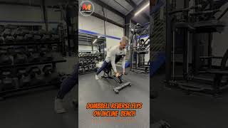 Dumbbell Reverse Flys on Incline Bench