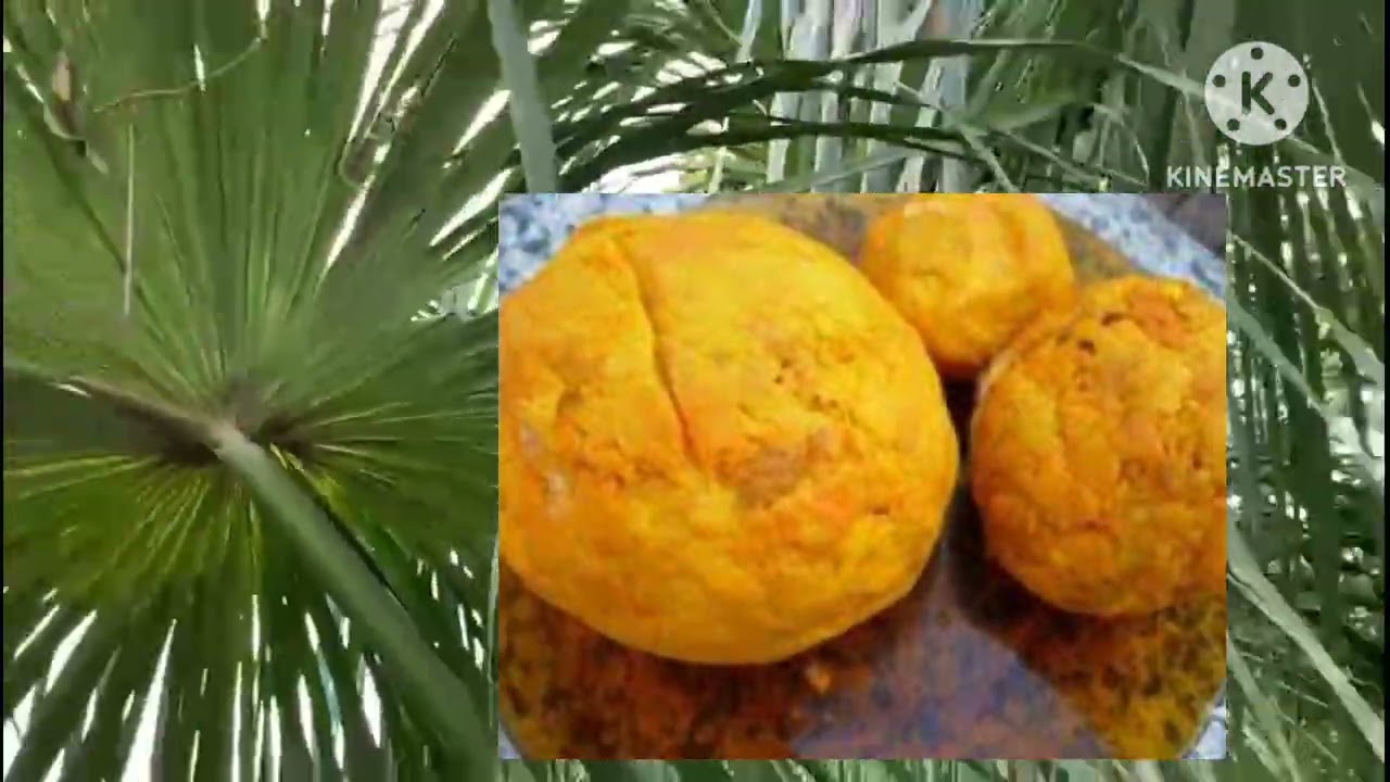 Conheça a palmeira buriti