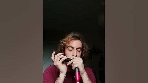 sweet bulgarity brendan power harmonica