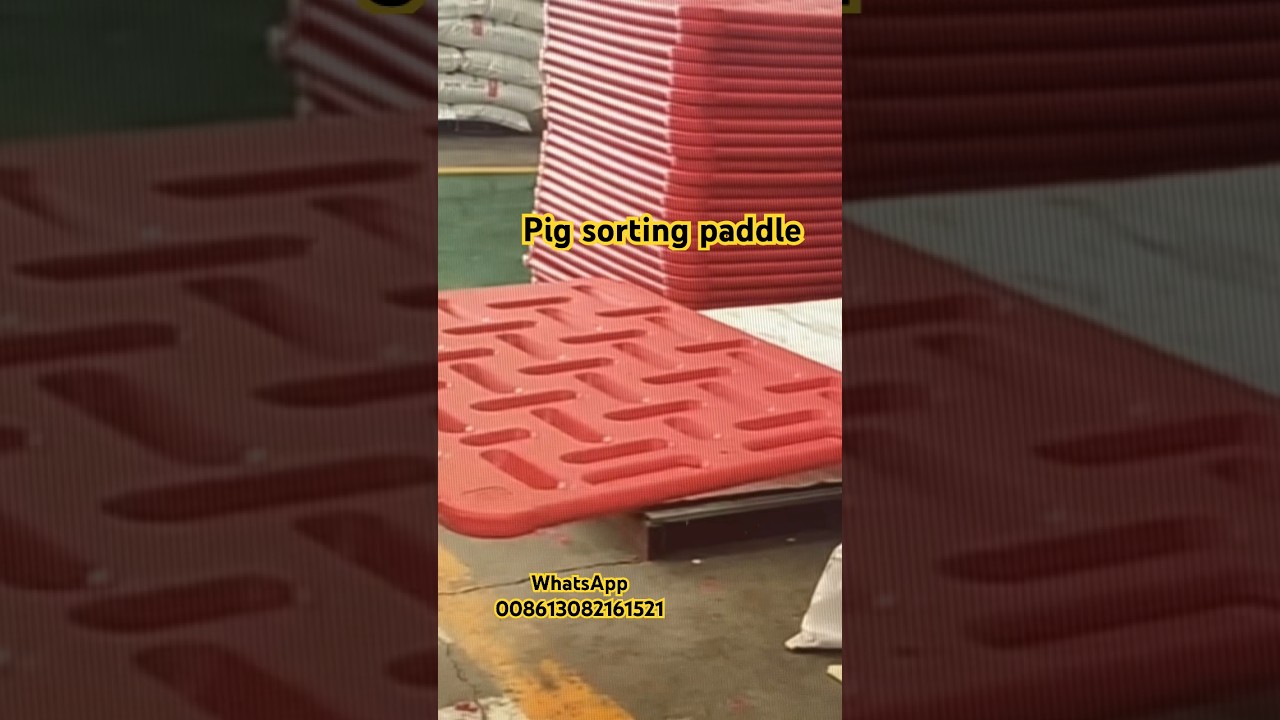 Pig sorting paddle type pig sorting board 