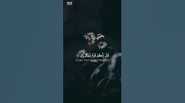 تلاوة جديده ومميزه للقارئ#عبدالرحمن_مسعد فَلَمَّا جَاءَ آلَ لُوطٍ الْمُرْسَلُونَ (61)#ارح_قلبك