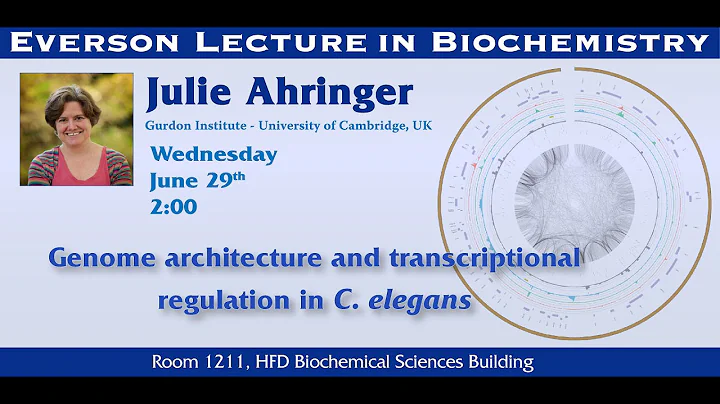 Everson Lecture - Julie Ahringer