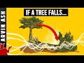 If a tree falls in a forest. And no one is around to hear it, does it make a sound? Answer!