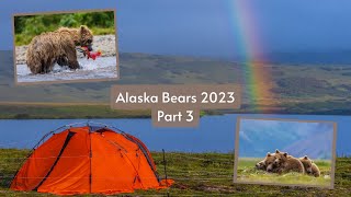 Photographing Alaskan Brown Bears Part 3. Does wildlife photography get any better than this!? by Jimmy Breitenstein 1,358 views 7 months ago 31 minutes