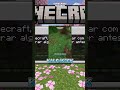 Minecraft, Ketemu Air = Video Selesai