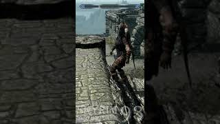 Skyrim: guard stuck on stairs!