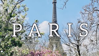 Parisvlogパリエッフェル塔と桜マレ地区お散歩秘密にしたいかわいいカフェを紹介パリ観光情報パリ旅行情報パリ観光ガイド