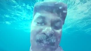blub