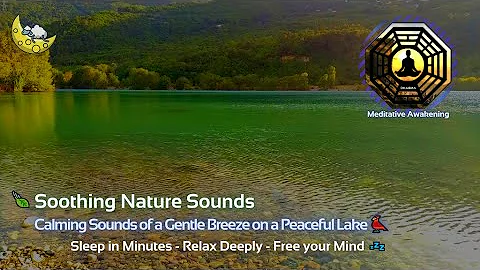 Sleep in Minutes with a Gentle Breeze on the Lake 🍂 Contemplative 4Hz Binaural for a Deep Sleep