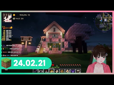 【24.02.21】 띵타이쿤 포피셜) 벚꽃이 좋다