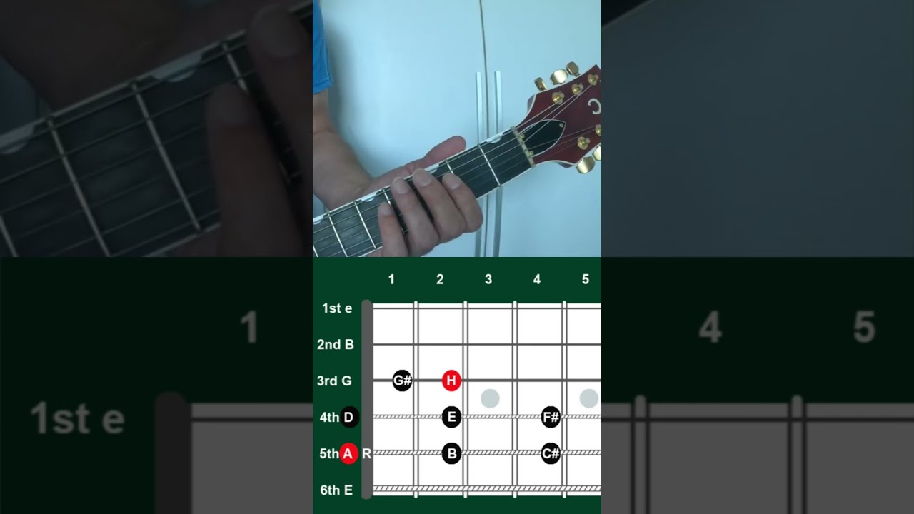 Scales The Scale Of A Major Learnguitar Amajor Majorscale Playguitar