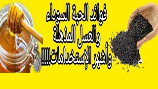 فوائد العسل مع الحبة السوداء وأشهر الاستخدامات