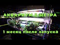 Аквариум 2 метра. 1 месяц. Оборудование. Запустили рыбу.