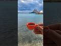 Доброе утро!☕️ Походный кофе по-турецки из диких мест. Прибрежная Испания пешком 1600 км за 3 месяца