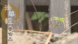 【靜思妙蓮華】法華經譬喻品 - 無明欲熾 調心為藥 - 20201117 第556集
