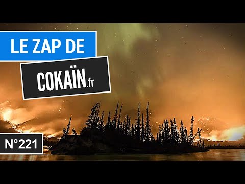 Le Zap de Cokaïn.fr n°221